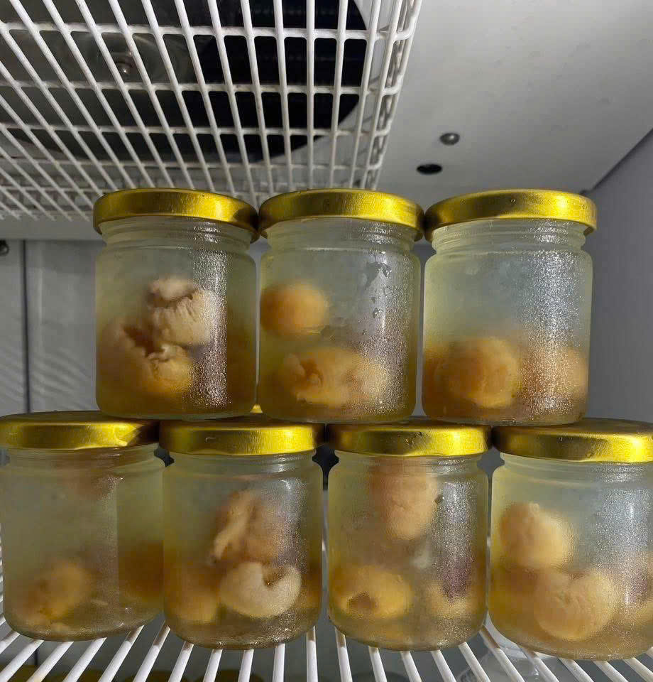 NƯỚC YẾN HŨ CHƯNG THỦ CÔNG : YẾN CHƯNG VỚI LONG NHÃN